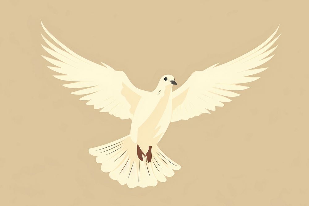 Dove wildlife animal bird. 