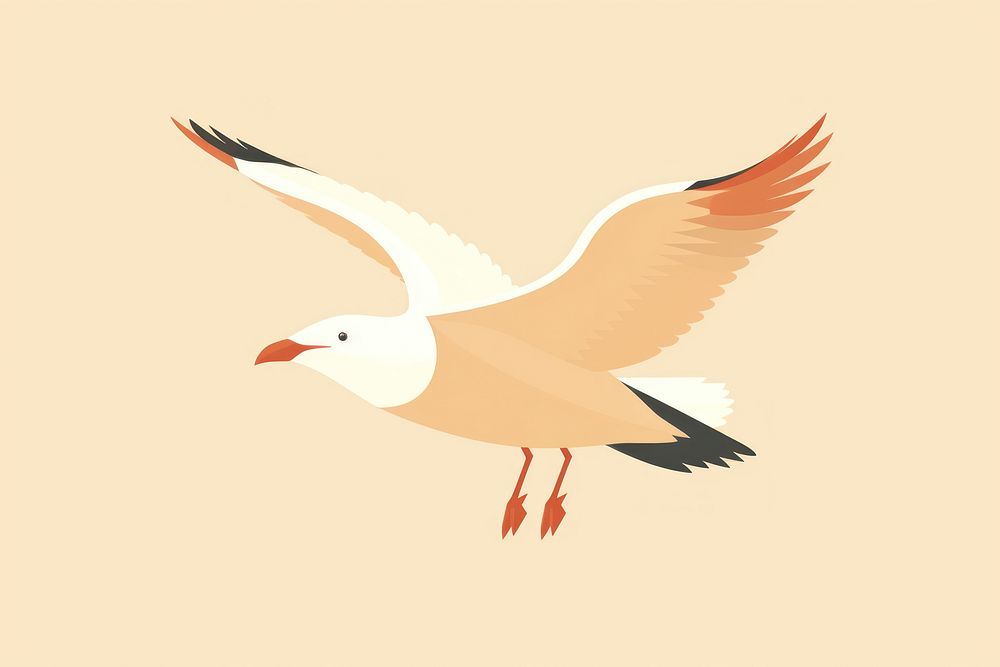 Seagull flying animal bird. AI generated Image by rawpixel.