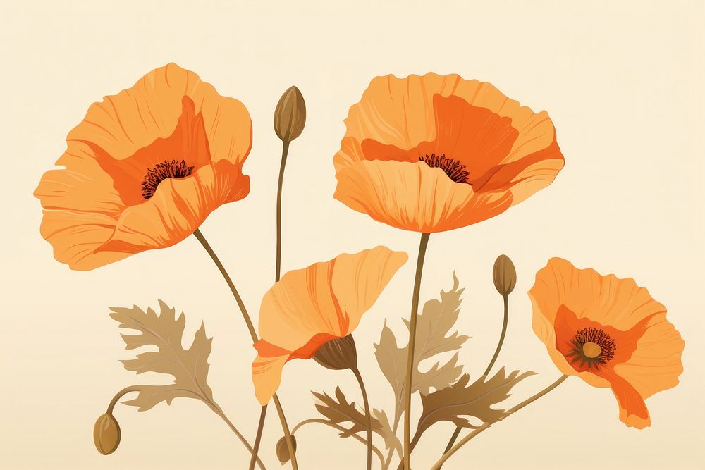 California poppy flower plant inflorescence. AI generated Image by rawpixel.