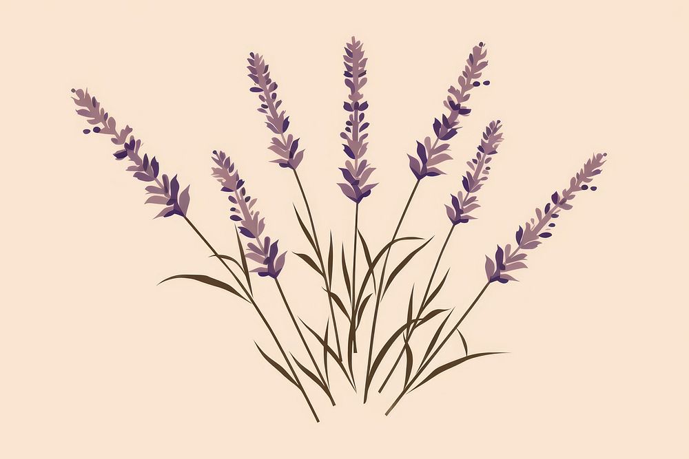 Lavender flower plant grass. AI generated Image by rawpixel.