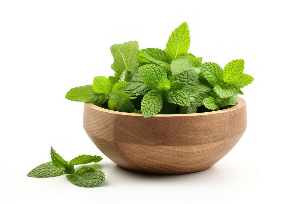 Fresh mint leaves plant herbs leaf. AI generated Image by rawpixel.