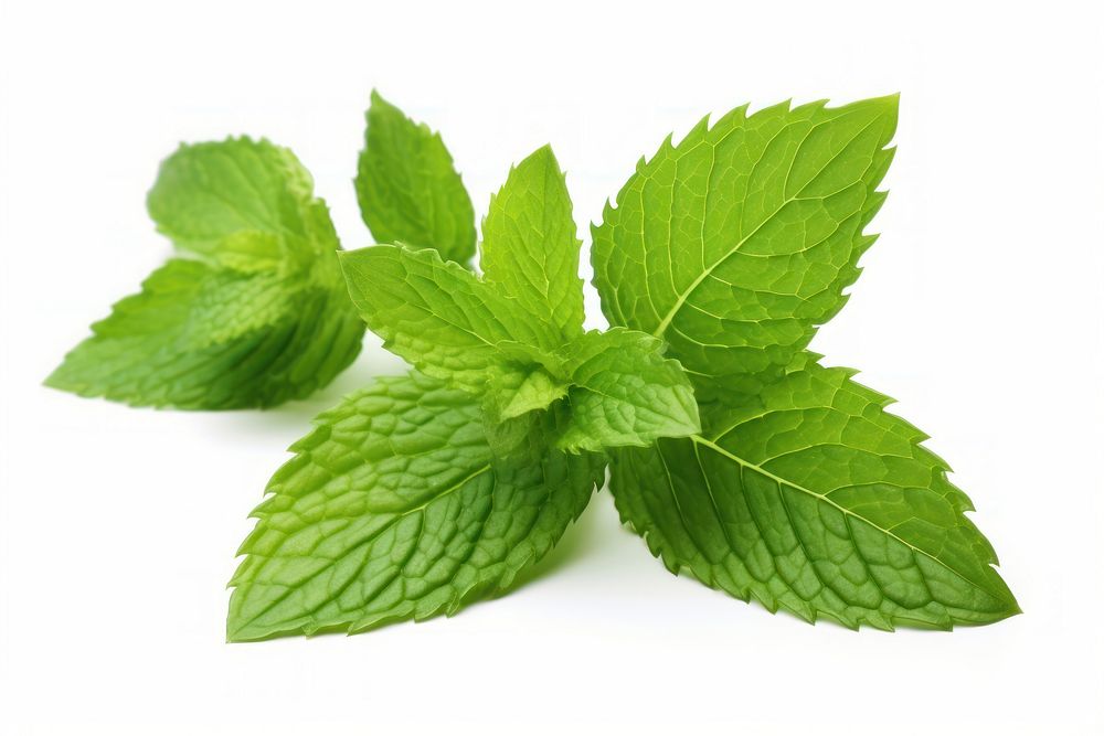 Mint leaf plant herbs mint. AI generated Image by rawpixel.