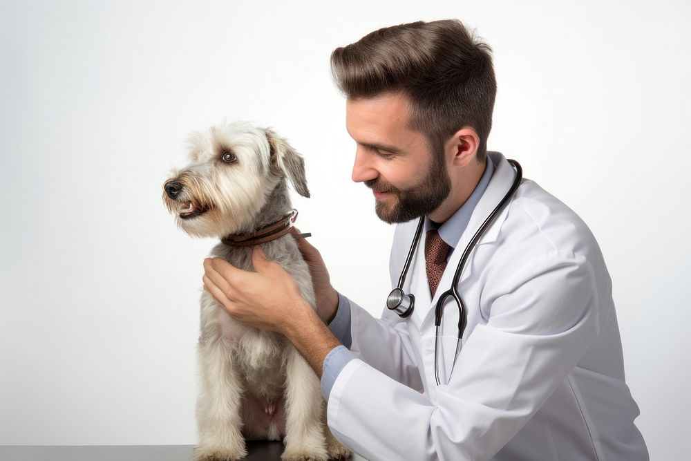 Veterinarian doctor dog mammal. AI generated Image by rawpixel.