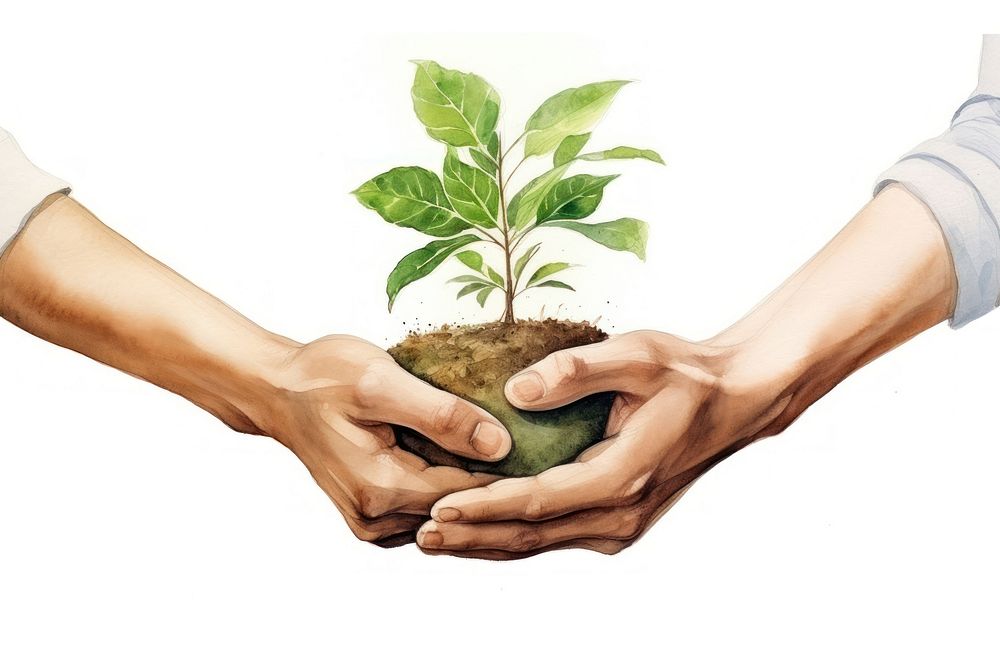 Plant hand gardening planting. AI generated Image by rawpixel.