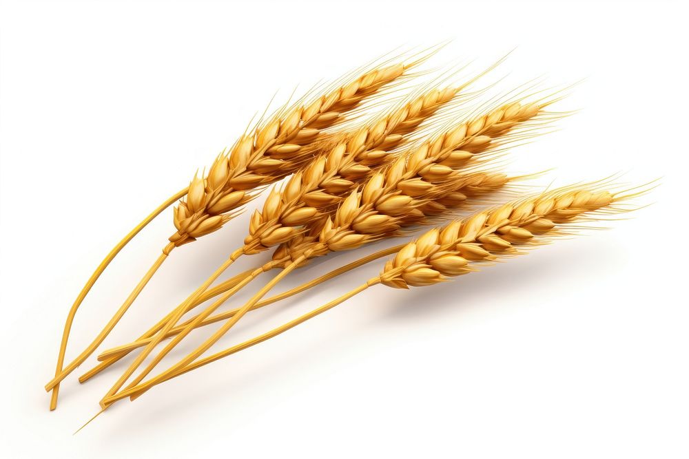 Wheat food agriculture triticale. AI generated Image by rawpixel.