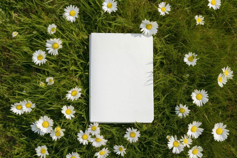 Cover outdoors flower plant. AI generated Image by rawpixel.