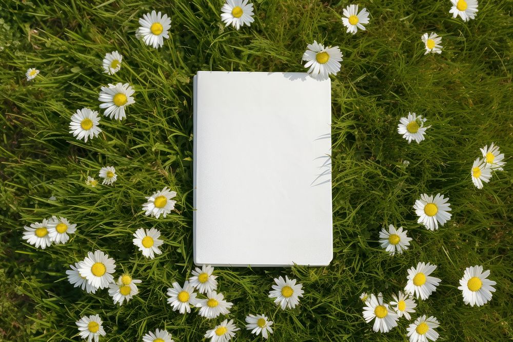 Cover outdoors flower plant. 