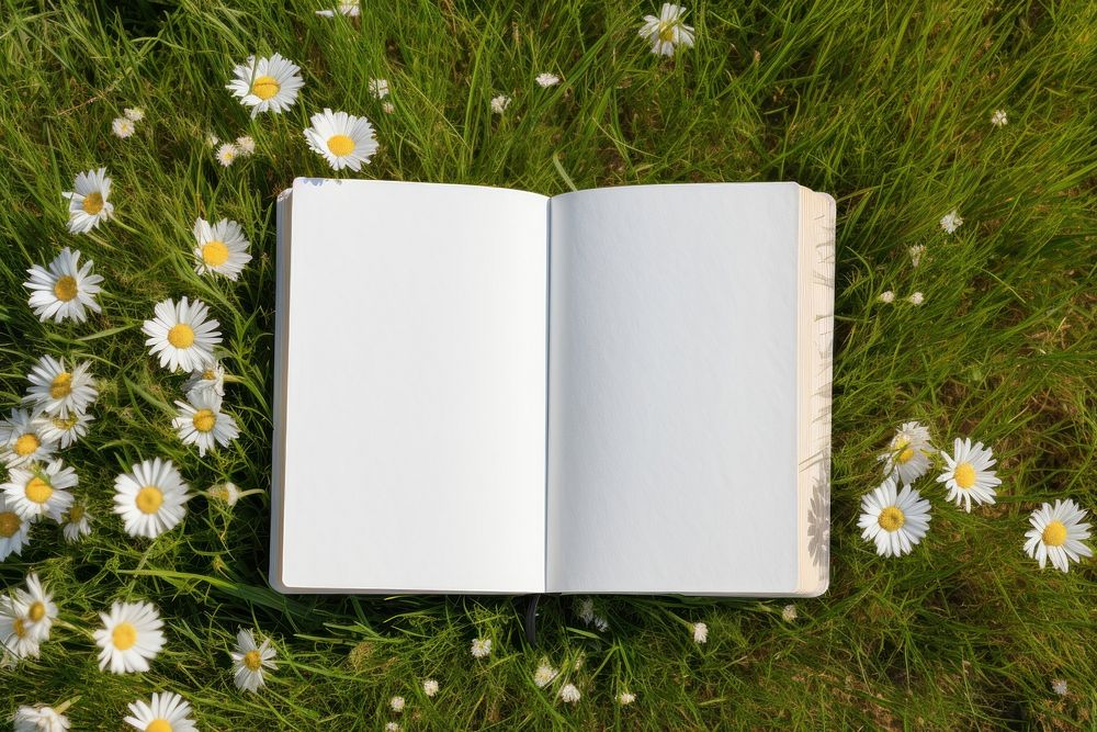 Blank book publication flower. AI generated Image by rawpixel.