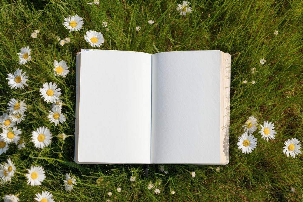 Blank book publication flower. 