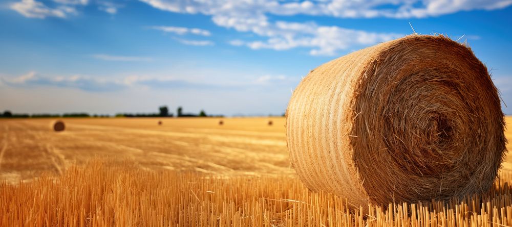 Hay bale agriculture landscape outdoors. AI generated Image by rawpixel.