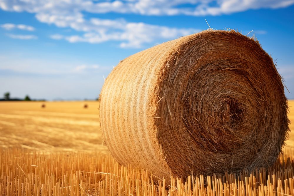 Hay bale agriculture outdoors nature. AI generated Image by rawpixel.