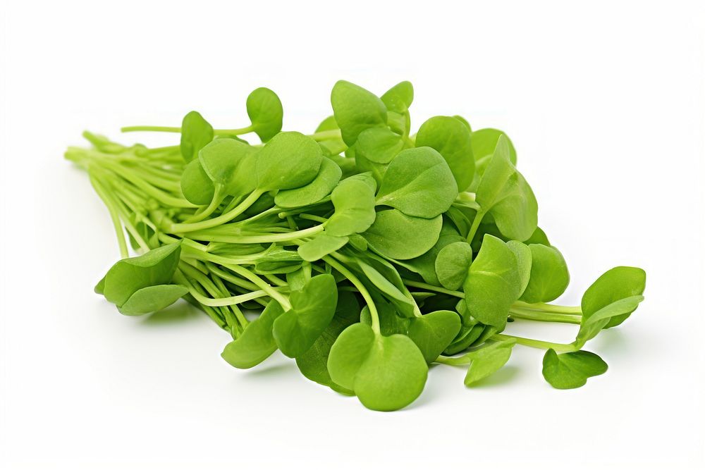 Watercress vegetable plant herbs. AI generated Image by rawpixel.