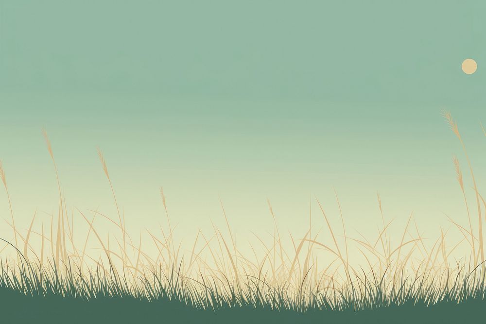 Grass field grass backgrounds outdoors. 