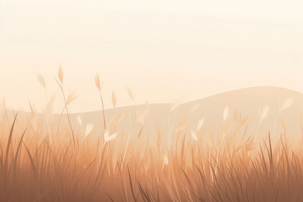 Empty dry Grass field grass backgrounds outdoors. AI generated Image by rawpixel.