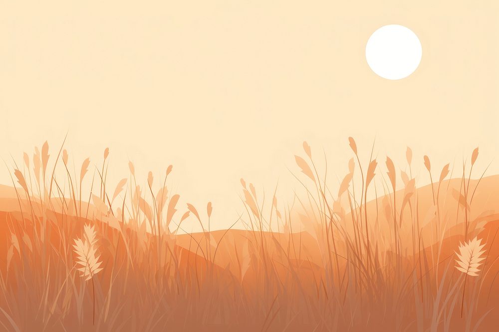 Empty dry Grass field grass backgrounds landscape.
