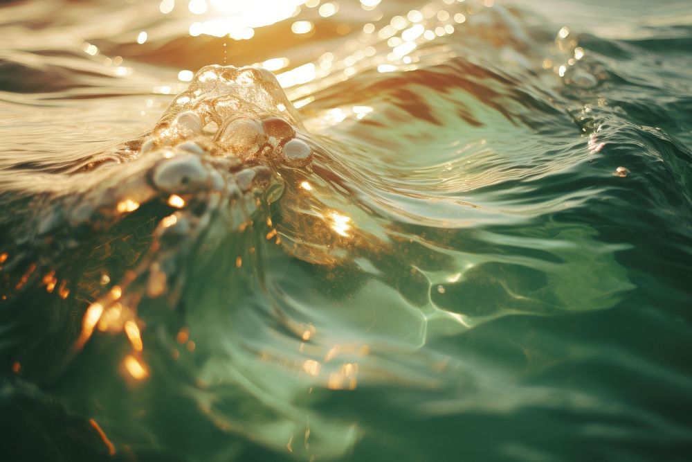 Ocean swimming outdoors nature. 