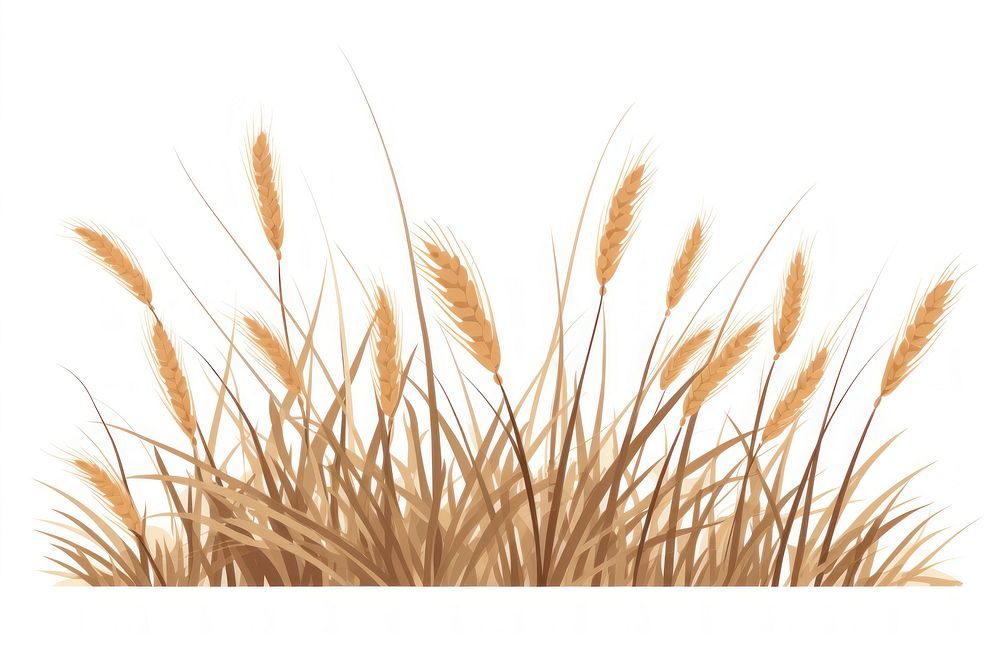 A dry Grass grass plant wheat. AI generated Image by rawpixel.