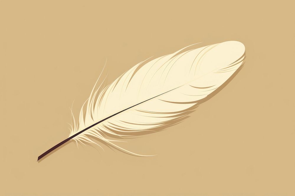 Feather lightweight softness pattern. AI generated Image by rawpixel.