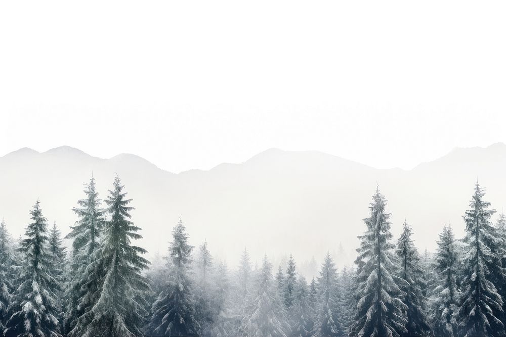 Tree snow outdoors nature. AI generated Image by rawpixel.