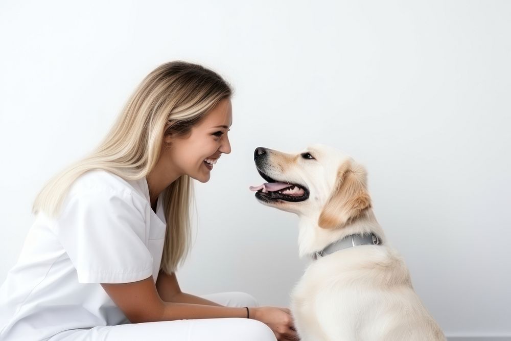 Dog veterinarian looking smiling. 