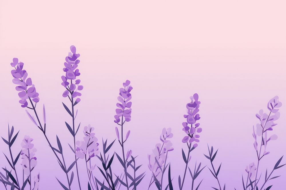 Lavender backgrounds blossom flower. 