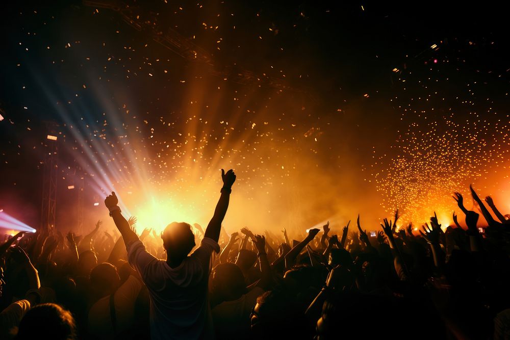 The picture of people in raving concert in Goa.  