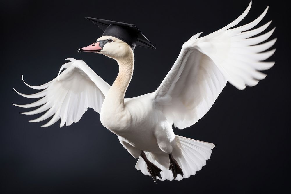 Flying swan animal white. AI generated Image by rawpixel.