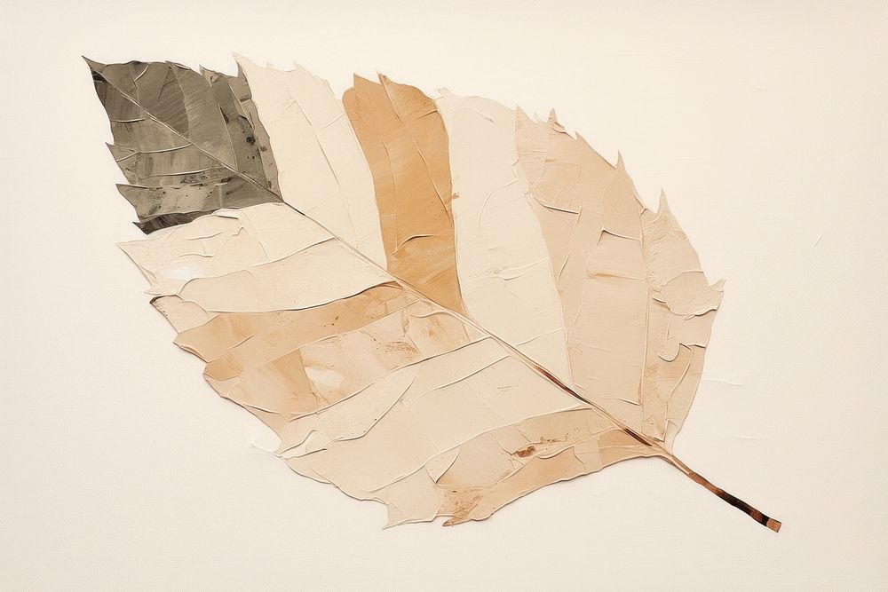 Leaf paper creativity pattern. 