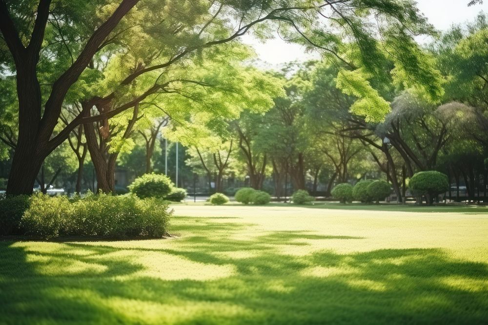 Garden tree landscape outdoors. AI generated Image by rawpixel.