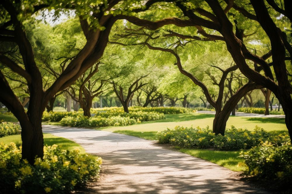 Garden tree landscape outdoors. AI generated Image by rawpixel.