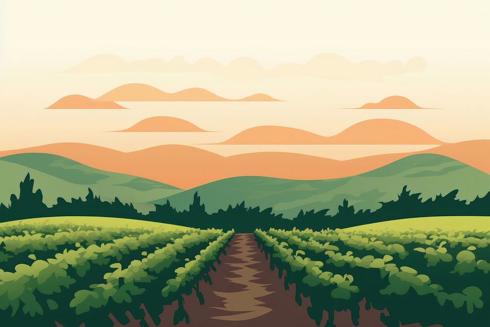 Vineyard agriculture landscape outdoors. 