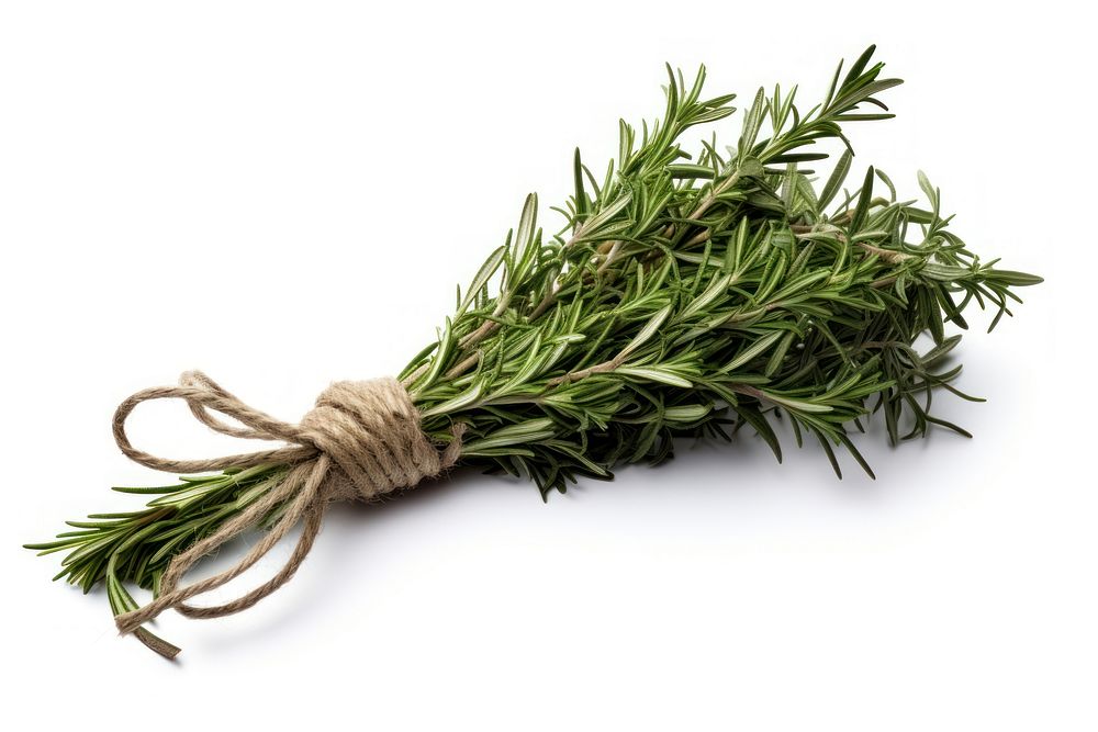 Rosemary bunch plant herbs ingredient. AI generated Image by rawpixel.
