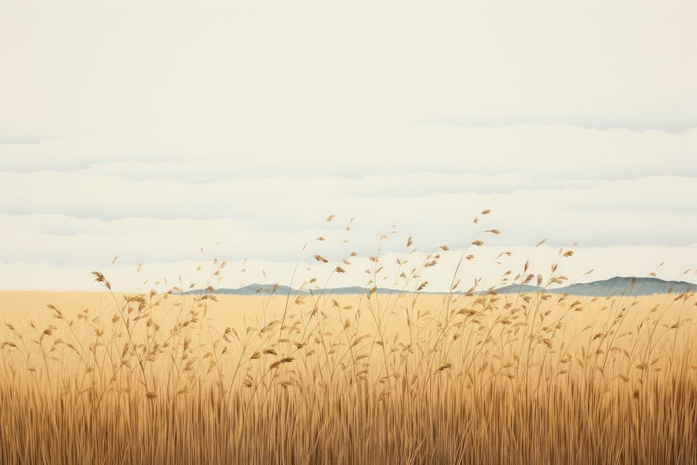 Empty grassland landscape outdoors horizon. 