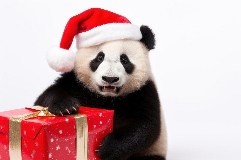 Panda wearing christmas hat portrait costume mammal. 