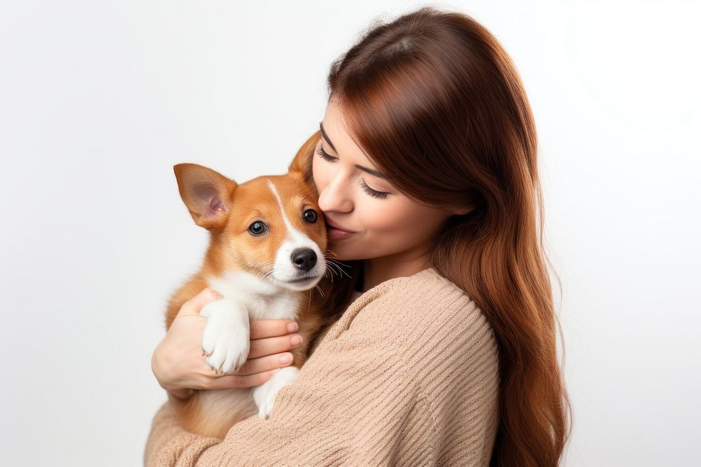 Female hugging puppy basenji dog portrait kissing mammal. 