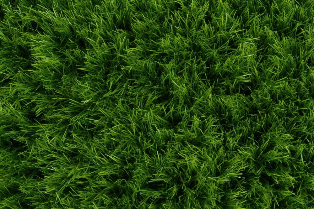 Grass backgrounds texture plant. AI generated Image by rawpixel.