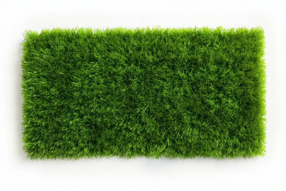 Green grass field backgrounds plant green. AI generated Image by rawpixel.