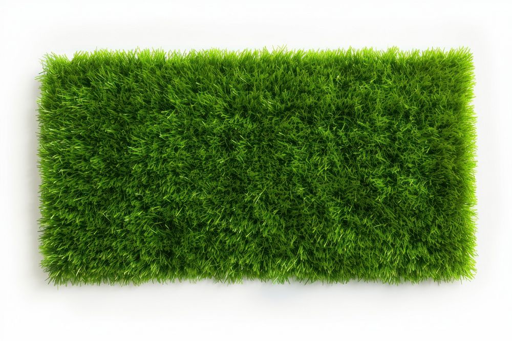 Green grass field backgrounds plant green.