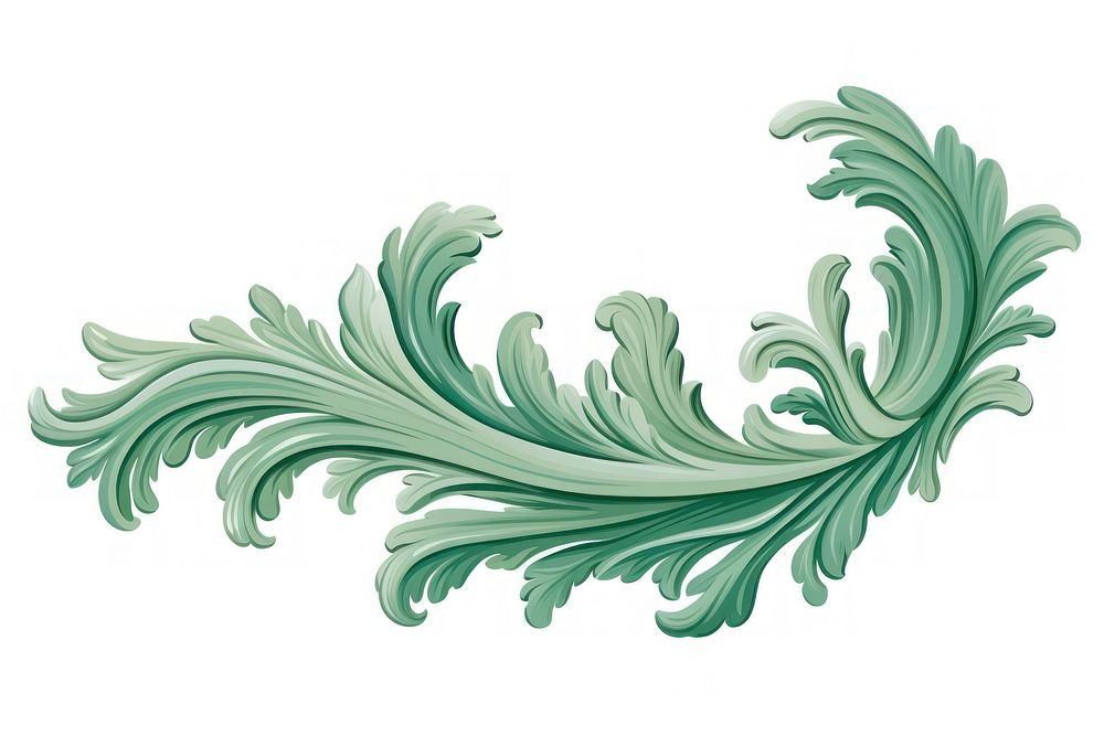 Acanthus leaves pattern drawing white background. 