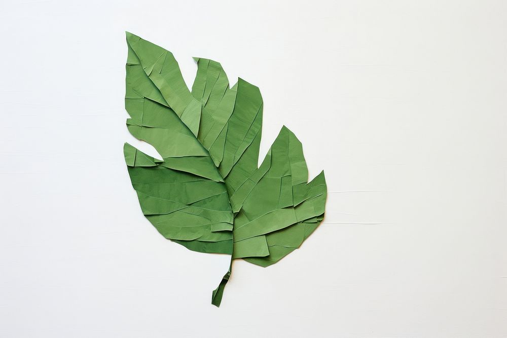 Leaf plant paper clothing. AI generated Image by rawpixel.