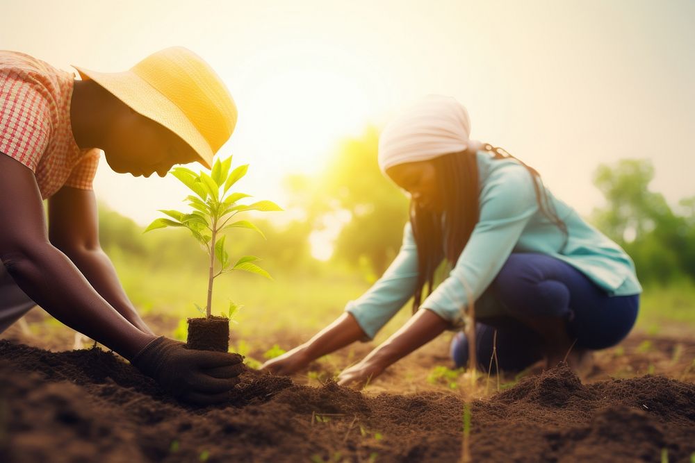 American woman planting a tree outdoors gardening nature. AI generated Image by rawpixel.