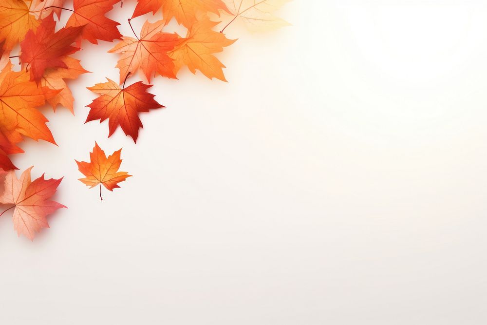 Autumn maple leaves border backgrounds | Free Photo - rawpixel