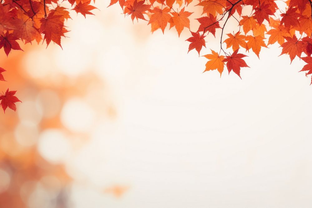 Autumn maple leaves border backgrounds plant leaf. AI generated Image by rawpixel.