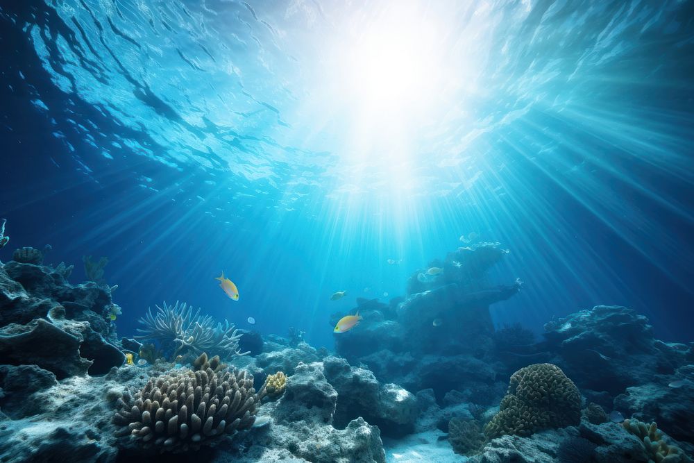 Underwater underwater sunlight outdoors. 