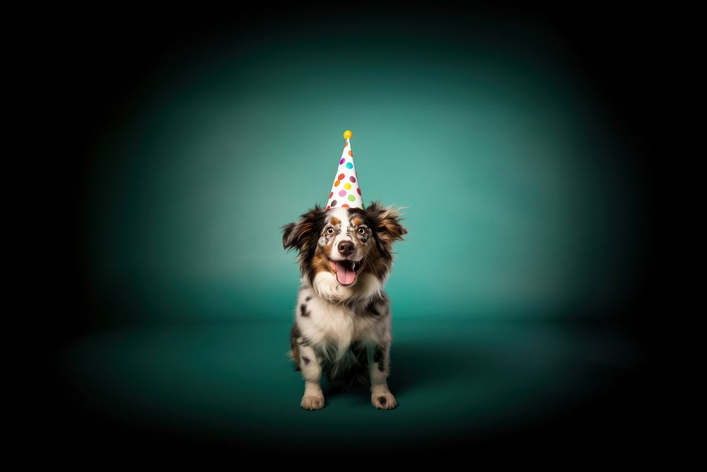 Dog wearing party hat mammal animal pet. AI generated Image by rawpixel.
