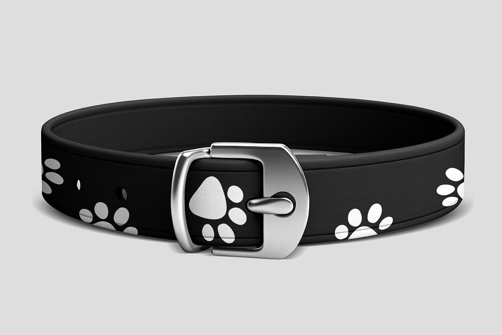 Black pet collar