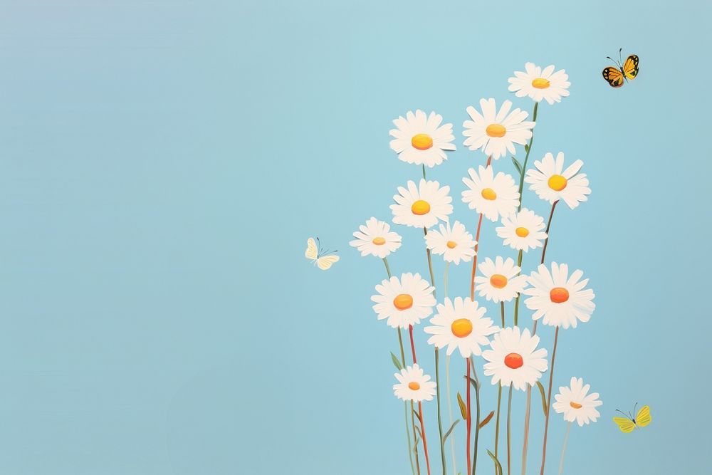 Daisies outdoors flower nature. 