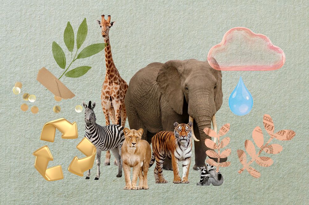 Wildlife conservation, creative environment remix image