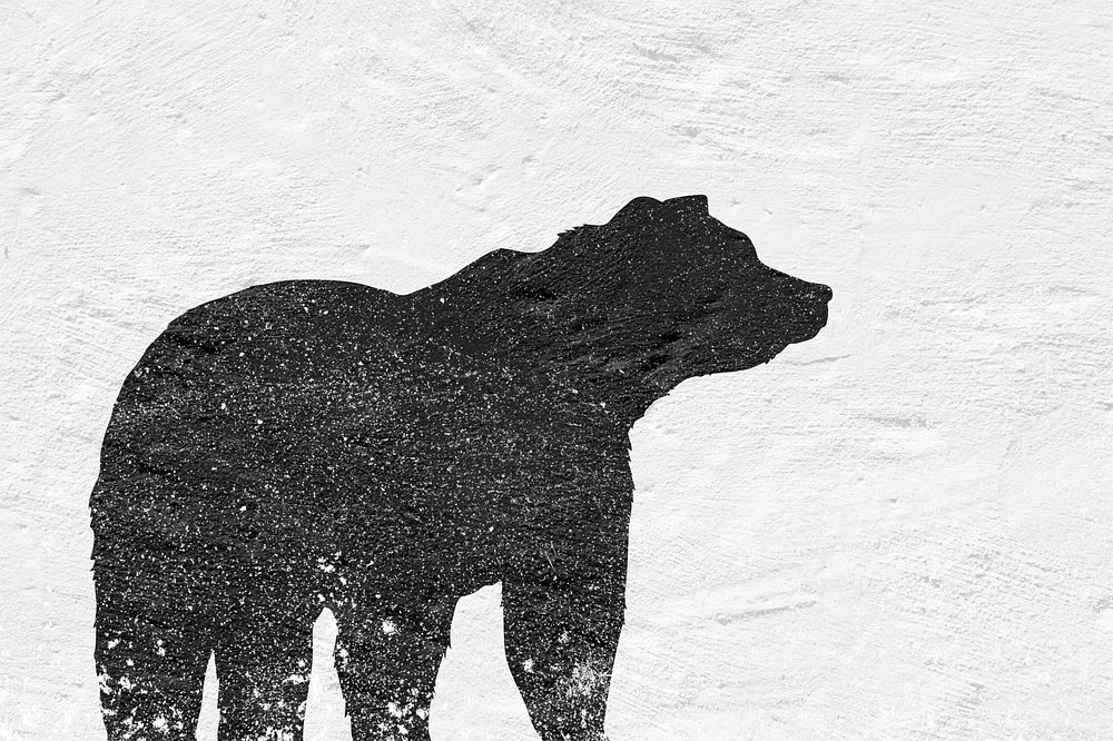 Bear silhouette with concrete wall effect