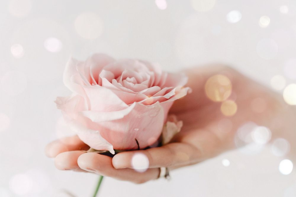 Woman holding pink rose, bokeh design